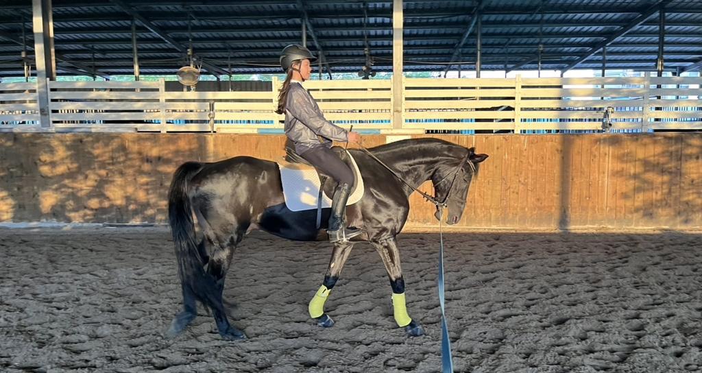 單節英式古典馬術課程